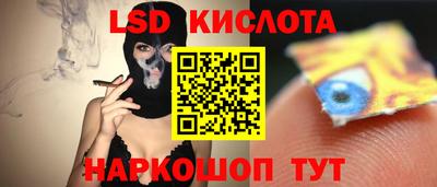 молекула духа Камышлов