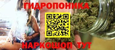 молекула духа Камышлов