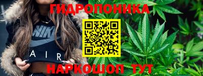 мдпв Кандалакша