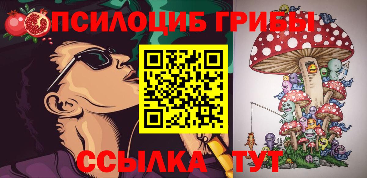 Псилоцибиновые грибы мухоморы Курчатов