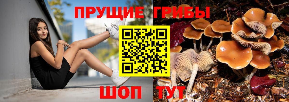 Галлюциногенные грибы Magic Shrooms  Вход с VPN  Курчатов  Галлюциногенные грибы мухоморы 